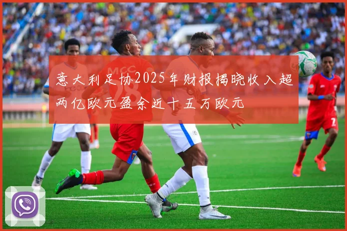 意大利足协2025年财报揭晓收入超两亿欧元盈余近十五万欧元