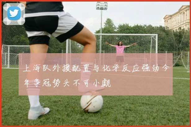 上海队外援配置与化学反应强劲今年争冠势头不可小觑